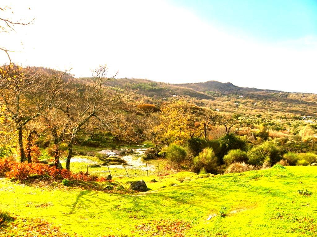 Quinta Do Marvao Marvão Quarto foto